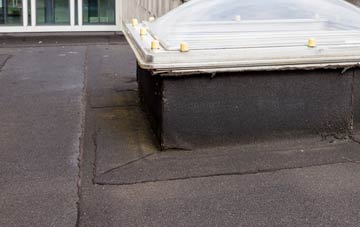 disadvantages of West Downs flat roofs