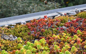 the cost of West Downs green roof installation