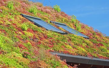West Downs living roof systems